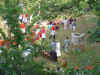 2004007_7_1_1.jpg (71003 byte)