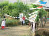 bandiere.JPG (87901 byte)