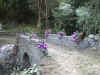 santanna2010_39.JPG (121975 byte)
