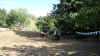 dsc03990.jpg (1275640 byte)