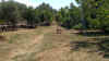 IMG_20220731_122551.jpg (4998679 byte)