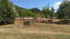 IMG_20220731_122612.jpg (4709466 byte)